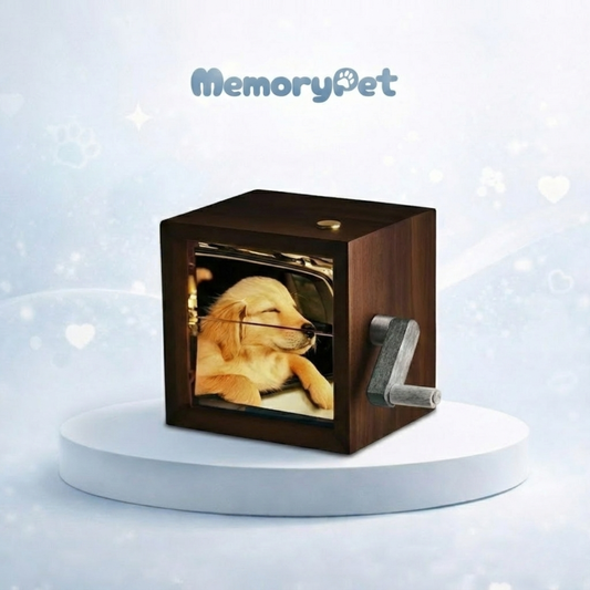 MemoryPet® 포토플립 박스