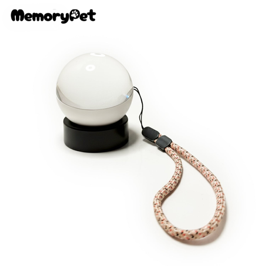 MemoryPet® 3D 메모리 볼