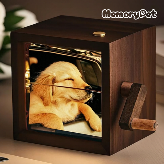 MemoryPet® 포토플립 박스